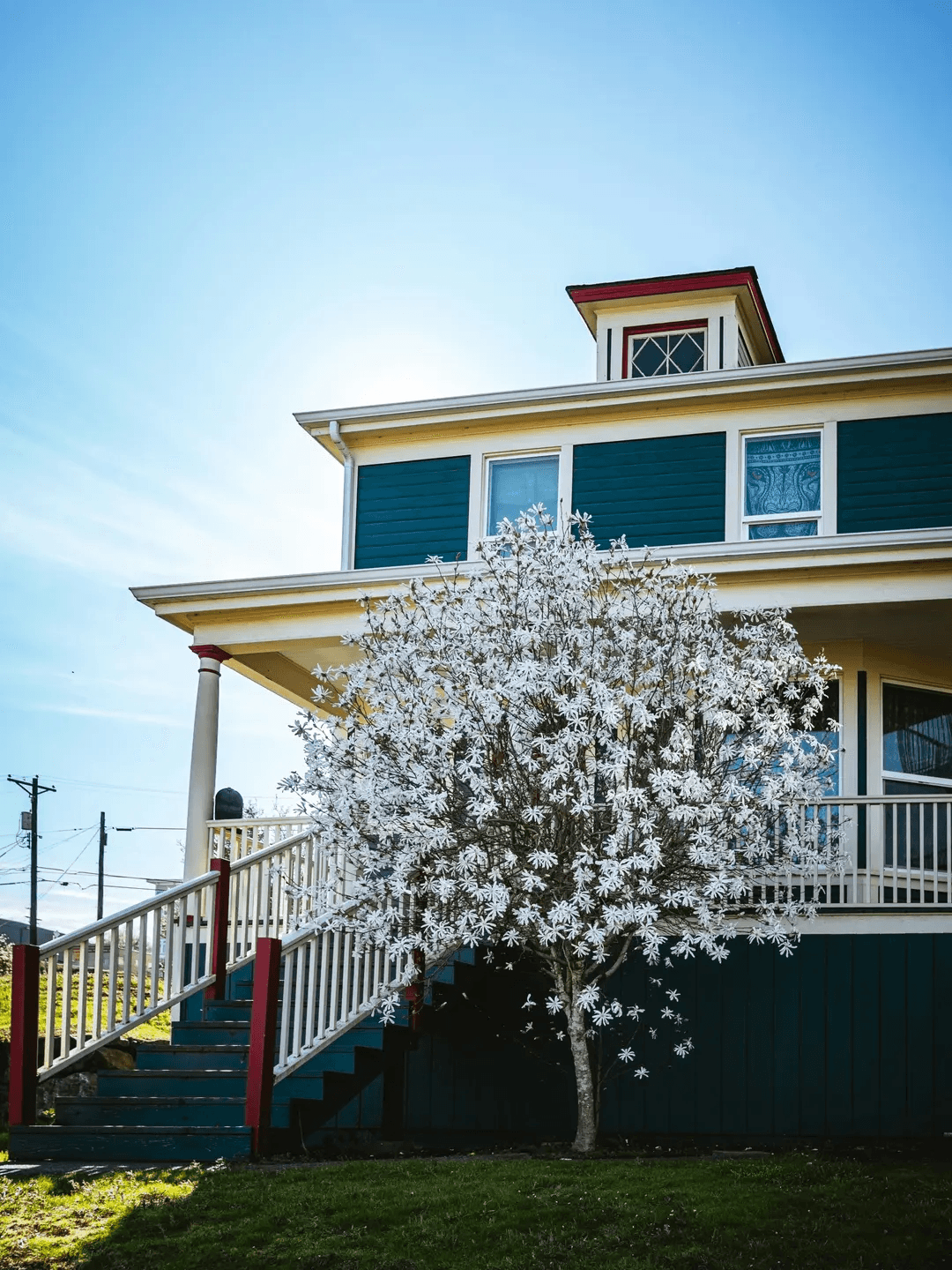 A restored home with a blooming magnolia in the central Puget Sound region